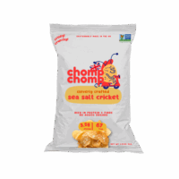 Sea Salt Cricket Crisps 40g